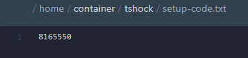 Como se tornar Admin no seu Servidor Terraria TShock — imagem 2 do tutorial